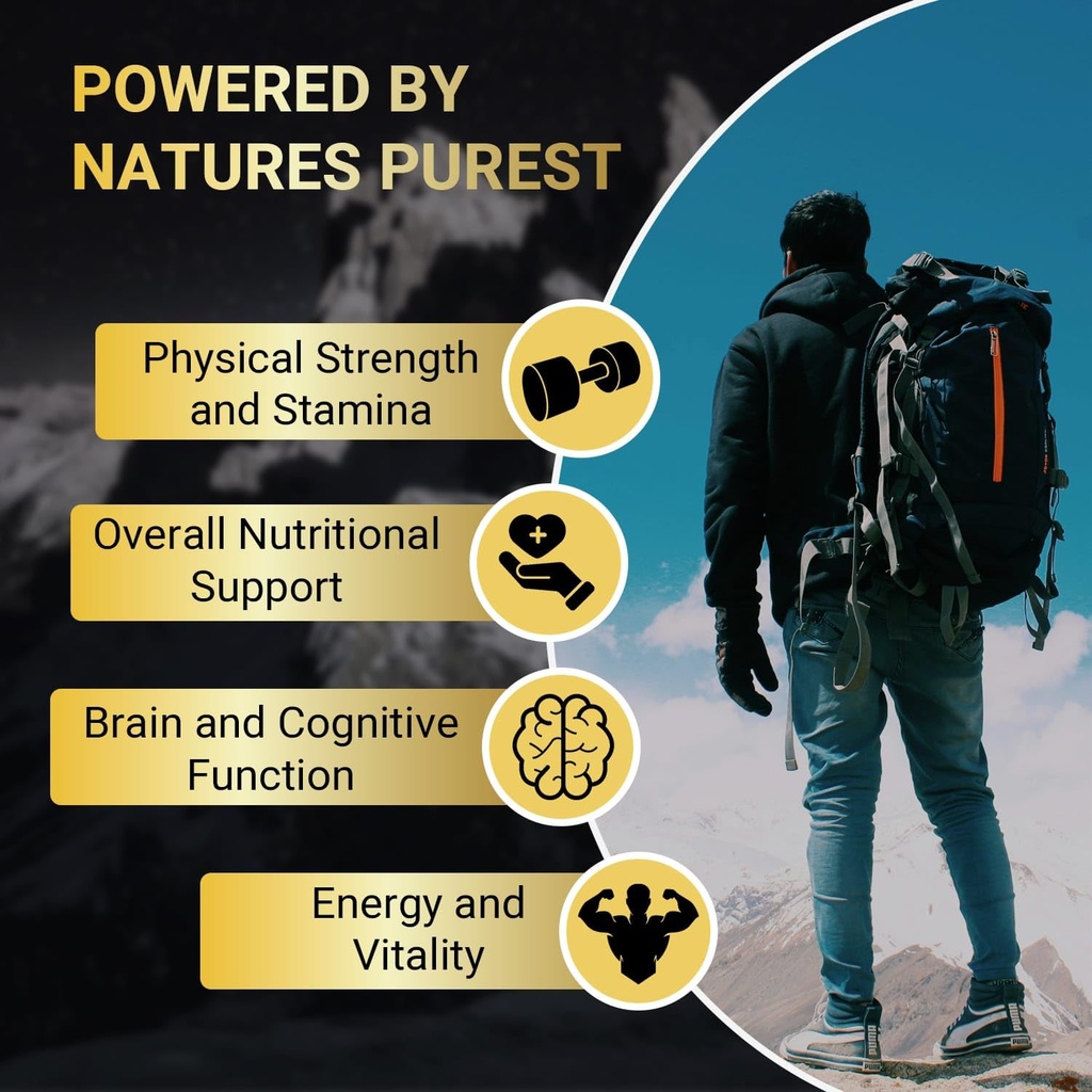 premium-shilajit-capsules-500mg-with-ash-2.jpg