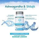 ashwagandha-shilajit-ashwagandha-ksm-66--3.jpg