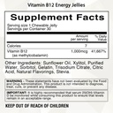 bariatric-eating-journey-1-000-mcg-vitam-2.jpg
