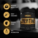 5-nutrition-core-creatine-micronized-cre-4.jpg