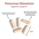 nutricology-pancreas-pork-freeze-dried-p-4.jpg