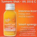 15pcs-orange-juice-with-ginger-and-turme-4.jpg