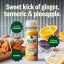 suja-organic-immunity-defense-shot-10-pa-2.jpg