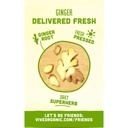 vive-organic-organic-ginger-boost-shot-4-5.jpg