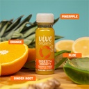 vive-organic-digest-immunity-pineapple-g-4.jpg