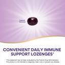 nature-s-way-sambucus-immune-lozenges-hi-4.jpg