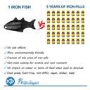 2-pack-iron-fish-a-natural-source-of-iro-2.jpg
