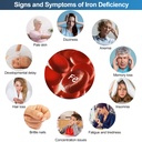2-pack-iron-fish-a-natural-source-of-iro-5.jpg