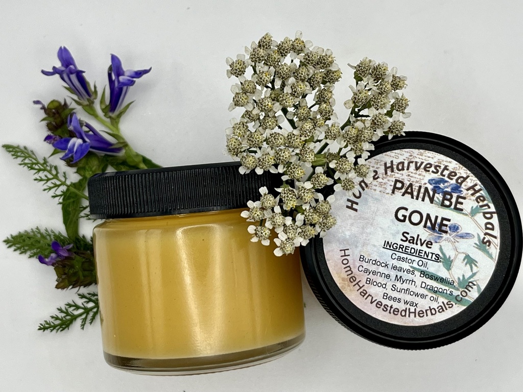 pain-relief-herbal-salve-2-oz-home-harve-2.jpg