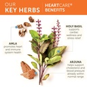 himalaya-heartcare-cholesterol-blood-pre-4.jpg
