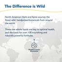 north-american-herb-spice-black-seed-oil-6.jpg