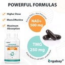 orgabay-liposomal-nad-supplement-500-mg--6.jpg