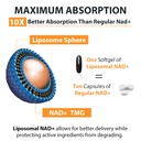 orgabay-liposomal-nad-supplement-500-mg--5.jpg