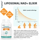 orgabay-liposomal-nad-supplement-500-mg--4.jpg
