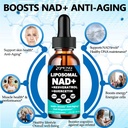 nad-supplement-liposomal-nad-nicotinamid-2.jpg