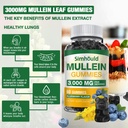 simhould-1-pack-sugar-free-3000mg-mullei-3.jpg