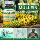 simhould-1-pack-sugar-free-3000mg-mullei-5.jpg