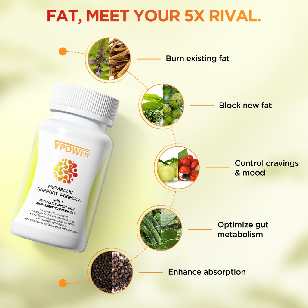 natural-thermogenic-fat-burner-4-in-1-me-2.jpg