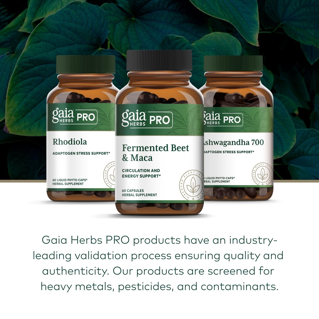 gaia-herbs-pro-fermented-beet-maca-healt-6.jpg
