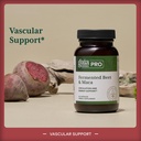 gaia-herbs-pro-fermented-beet-maca-healt-3.jpg
