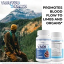 blood-circulation-vari-x-pro-plus-our-be-6.jpg