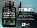 probiotics-and-prebiotics-sbo-probiotics-6.jpg