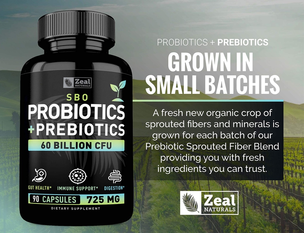 probiotics-and-prebiotics-sbo-probiotics-5.jpg