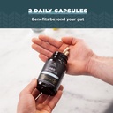 ancient-nutrition-probiotics-for-men-sbo-6.jpg