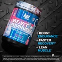bpi-sports-bcaa-powder-best-aminos-post--5.jpg