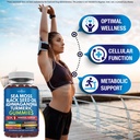 new-age-sea-moss-gummies-sea-moss-black--2.jpg