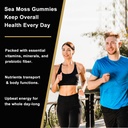 sea-moss-gummies-with-black-seed-oil-ash-6.jpg