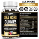 sea-moss-gummies-with-black-seed-oil-ash-2.jpg