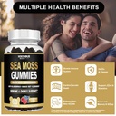 sea-moss-gummies-with-black-seed-oil-ash-4.jpg