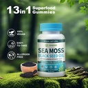 vegan-ashwagandha-sea-moss-gummies-black-6.jpg
