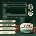 3in1-shilajit-wellness-gummies-ashwagand-3.jpg