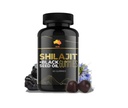 shilajit-and-black-seed-gummies-for-men--3.jpg