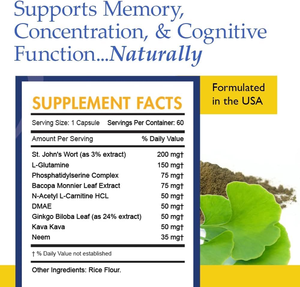 phenelite-nootropic-brain-support-supple-6.jpg