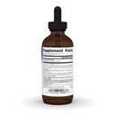 planetary-herbals-full-spectrum-hawthorn-3.jpg