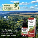 fito-medic-s-lab-hawthorn-berry-suppleme-2.jpg