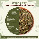 organic-way-hawthorn-leaf-and-flower-cut-6.jpg