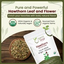 organic-way-hawthorn-leaf-and-flower-cut-3.jpg