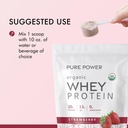 dr-mercola-pure-power-organic-whey-prote-6.jpg