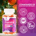 prenatal-vitamins-for-women-pregnancy-vi-4.jpg