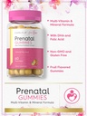 carlyle-prenatal-gummy-with-dha-folic-ac-4.jpg