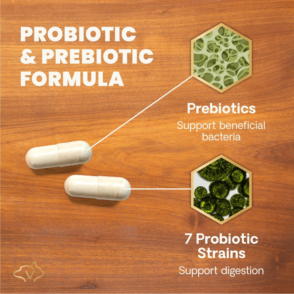 vetriscience-extra-strength-gut-health-p-4.jpg