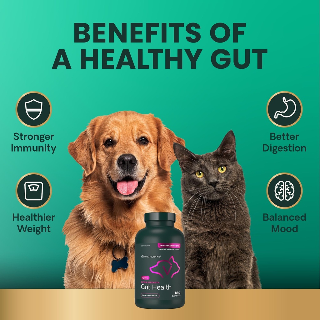 vetriscience-extra-strength-gut-health-p-6.jpg