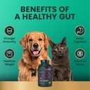 vetriscience-extra-strength-gut-health-p-6.jpg