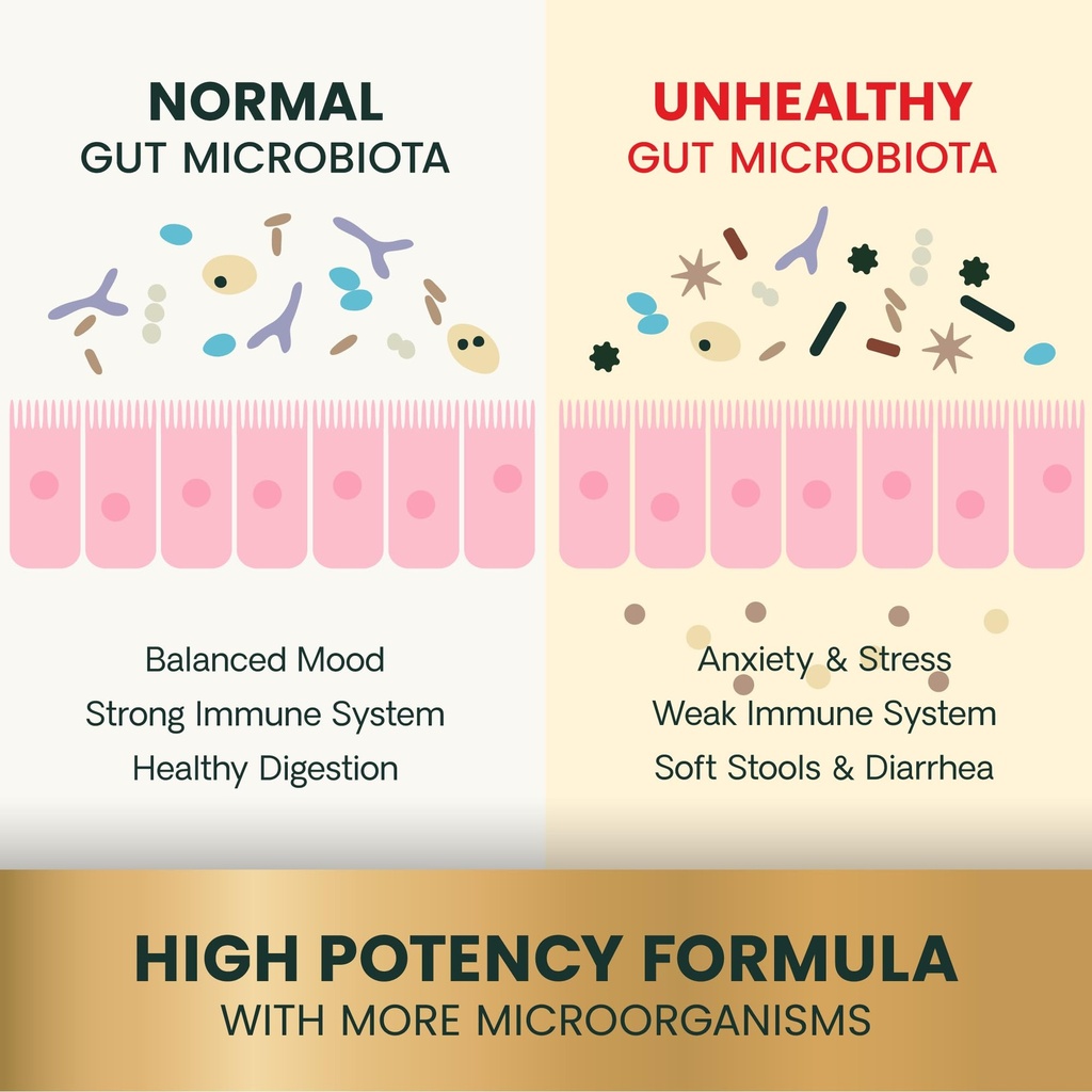 vetriscience-extra-strength-gut-health-p-5.jpg
