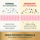 vetriscience-extra-strength-gut-health-p-5.jpg