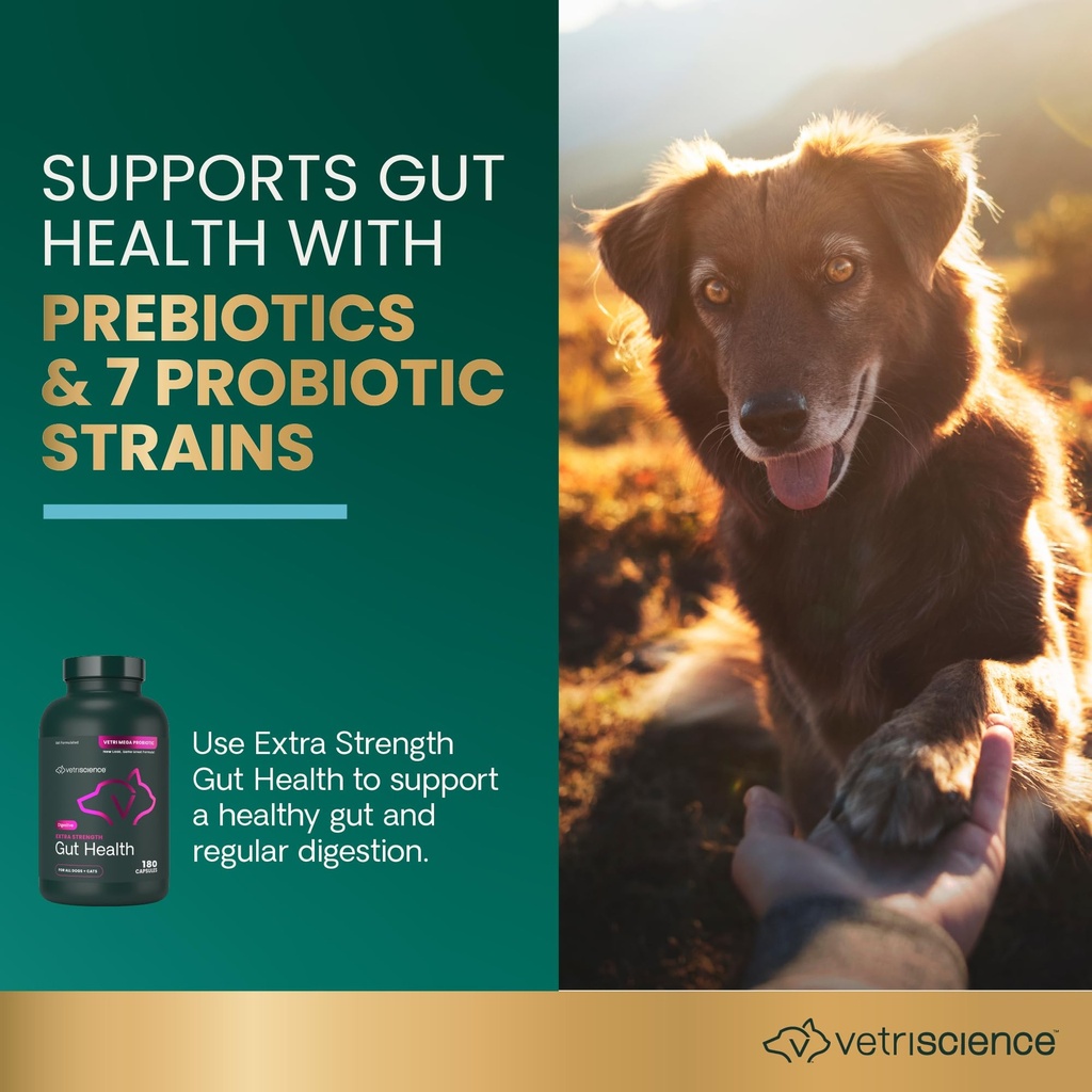 vetriscience-extra-strength-gut-health-p-3.jpg